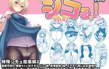 サークル 背徳漢さん作、アリスなど東方キャラ達の特殊シチュエーションものエロ漫画同人誌総集編「東方特殊シチュ短編総集編 シコるッ2」の表紙